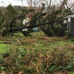 L3 Consulting Raises Money for Businesses Affected in Queensland by Cyclone Debbie